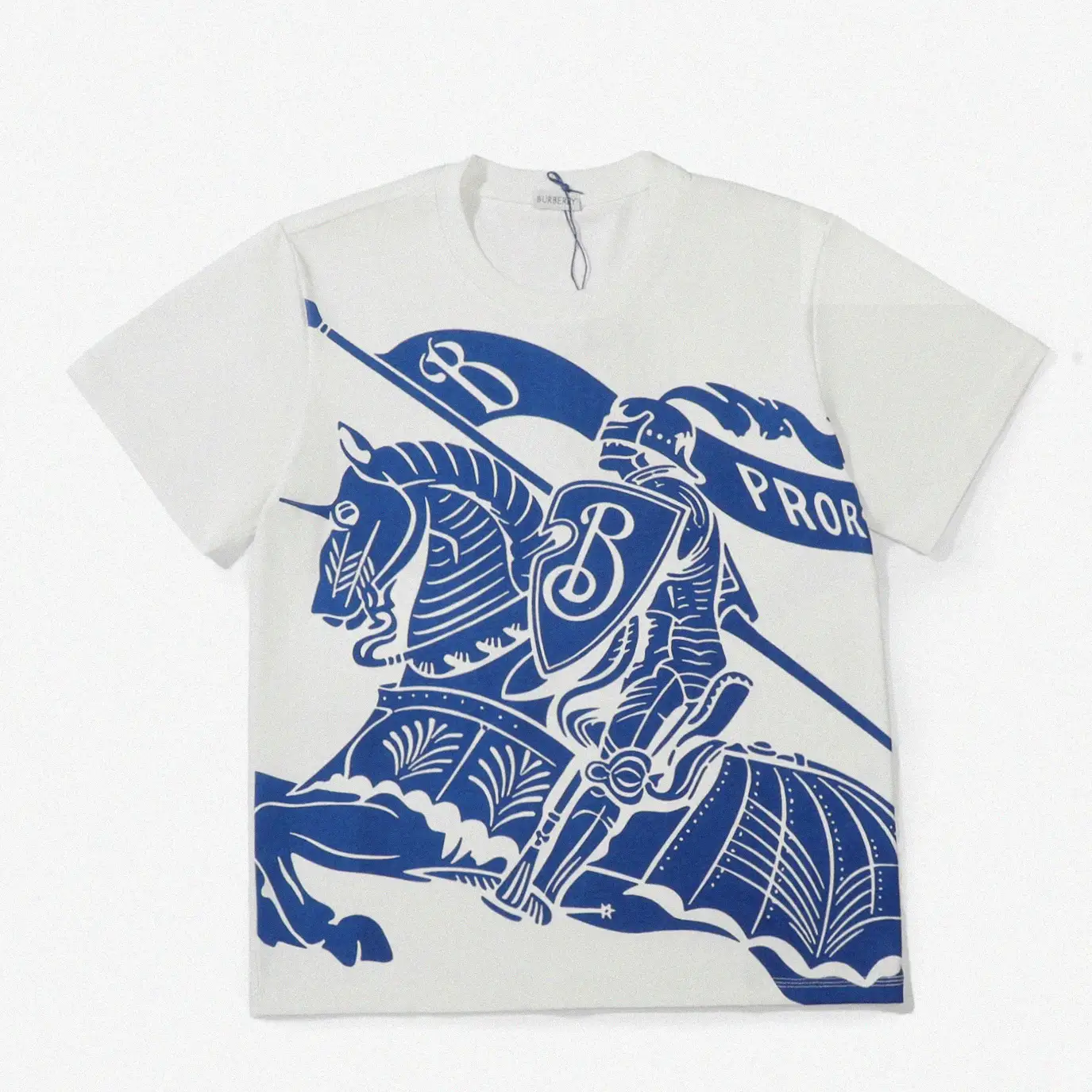 Counterfeit Burberry apparel front view visual reference